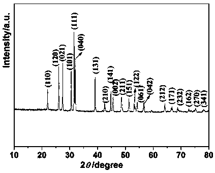 Preparation method of stannous sulfide/nitrogen-doped carbon composite ball-flower and application in lithium ion battery negative electrode