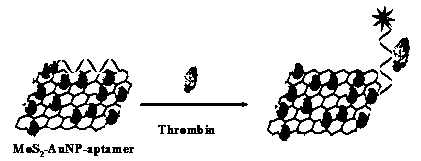 A sensor based on molybdenum disulfide and its preparation method and application