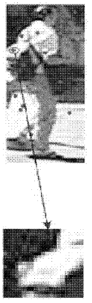 Method for describing local characteristic of image