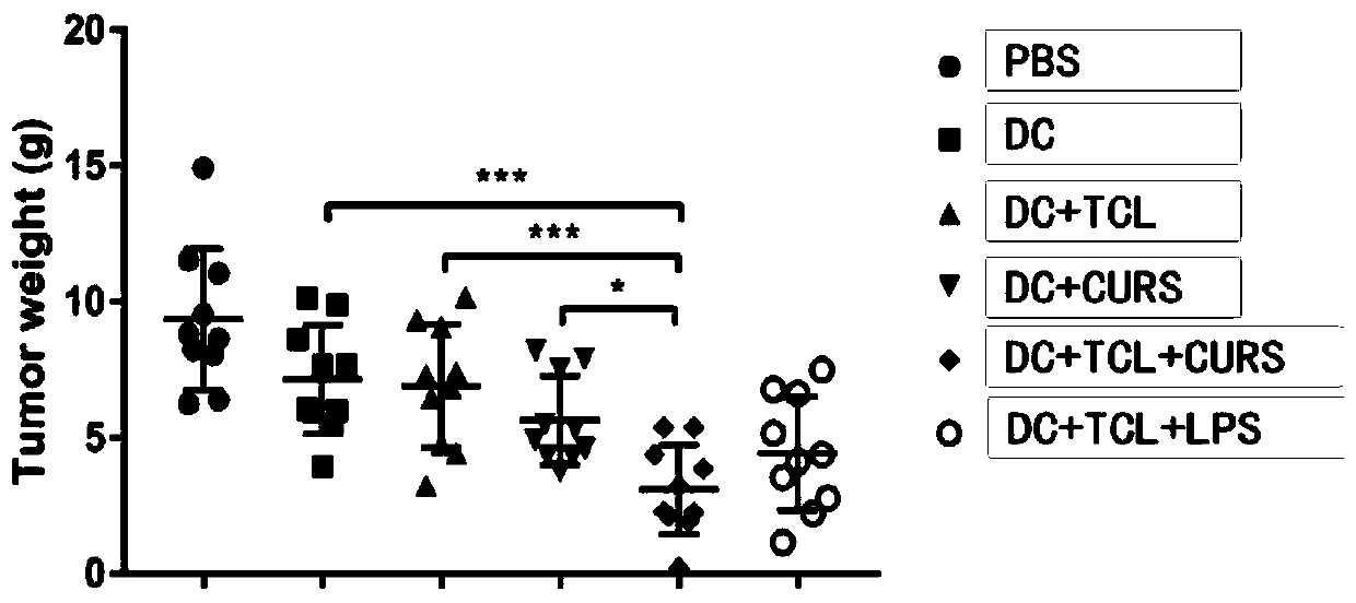 Application of sulfated curdlan