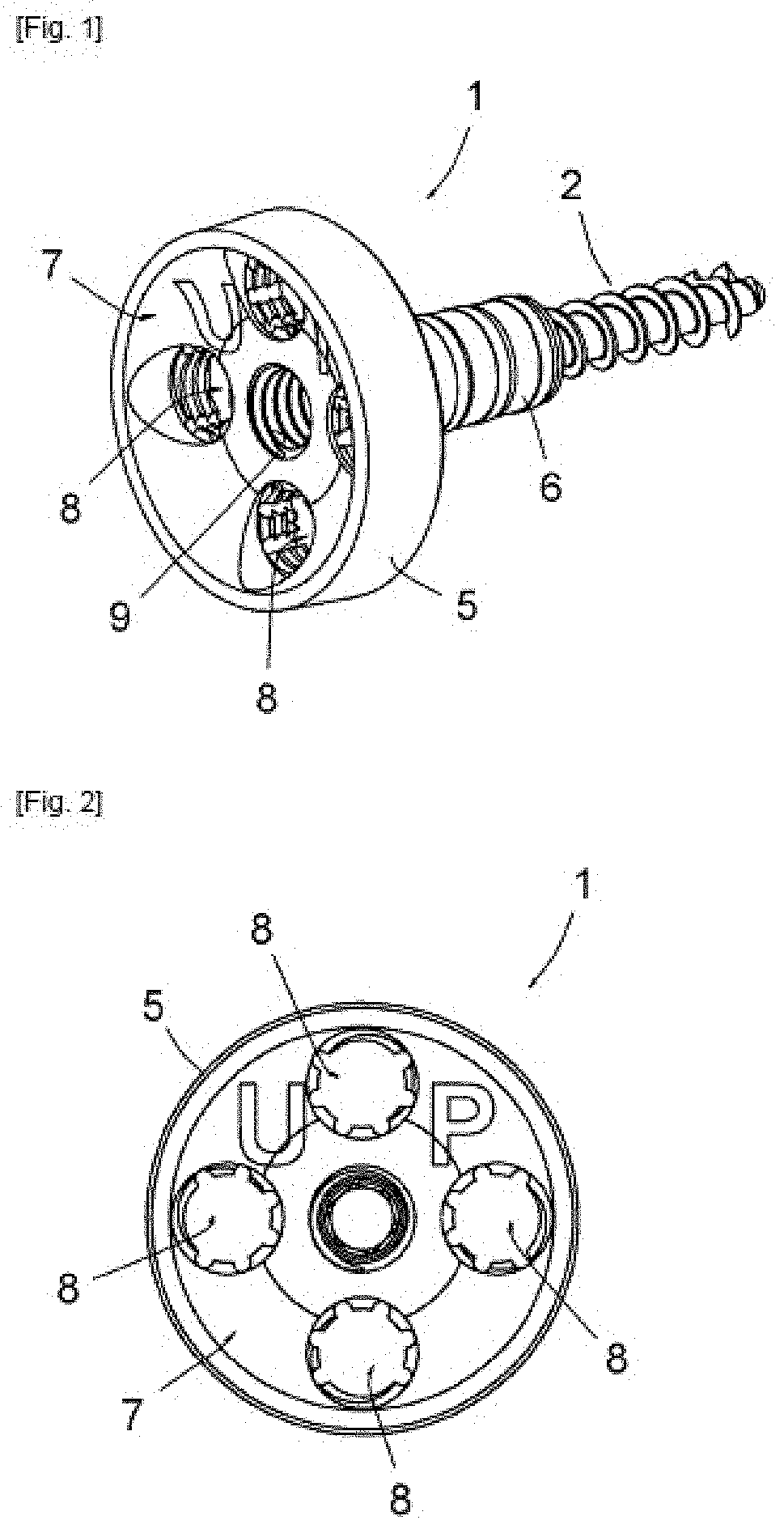 Assembly Formed By A Bone Anchoring Base Belonging to a Prosthetic Joint and by at Least One Screw Fastening This Base to a Bone