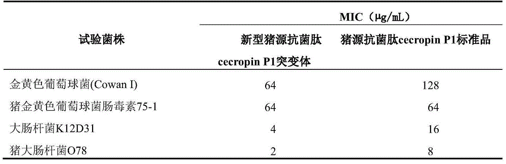 Swine-derived antibacterial peptide cecropin P1 mutant as well as preparation method and application of swine-derived antibacterial peptide cecropin P1 mutant