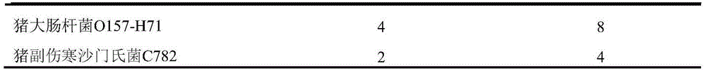 Swine-derived antibacterial peptide cecropin P1 mutant as well as preparation method and application of swine-derived antibacterial peptide cecropin P1 mutant