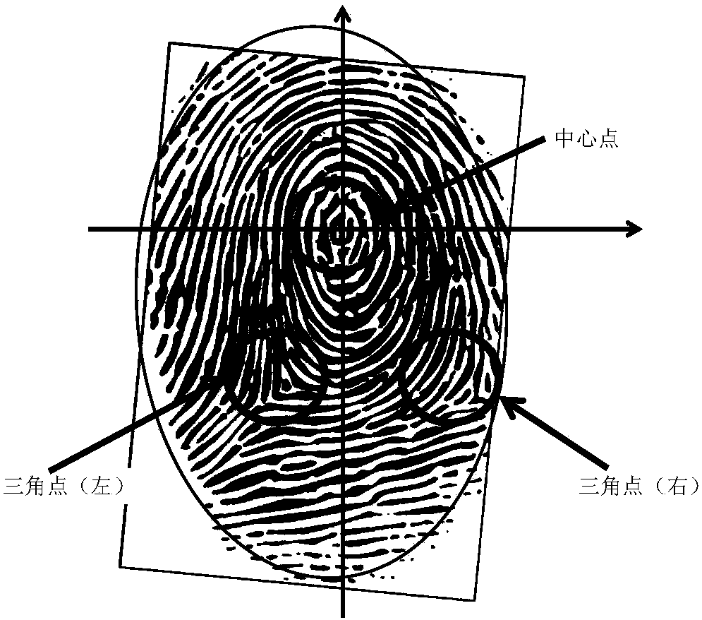 Fingerprint of Thing encoding method and system