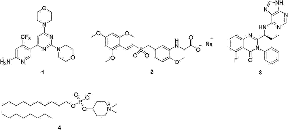 Phosphoinositide 3-kinase (P13K) inhibitor, pharmaceutical composition containing P13K inhibitor, and application of phosphoinositide kinase inhibitor and pharmaceutical composition