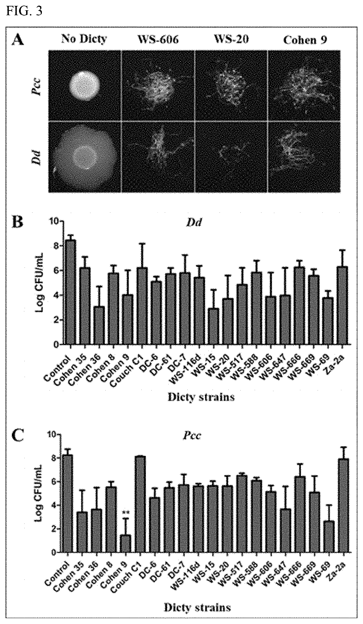 Therapeutic amoeba and uses thereof