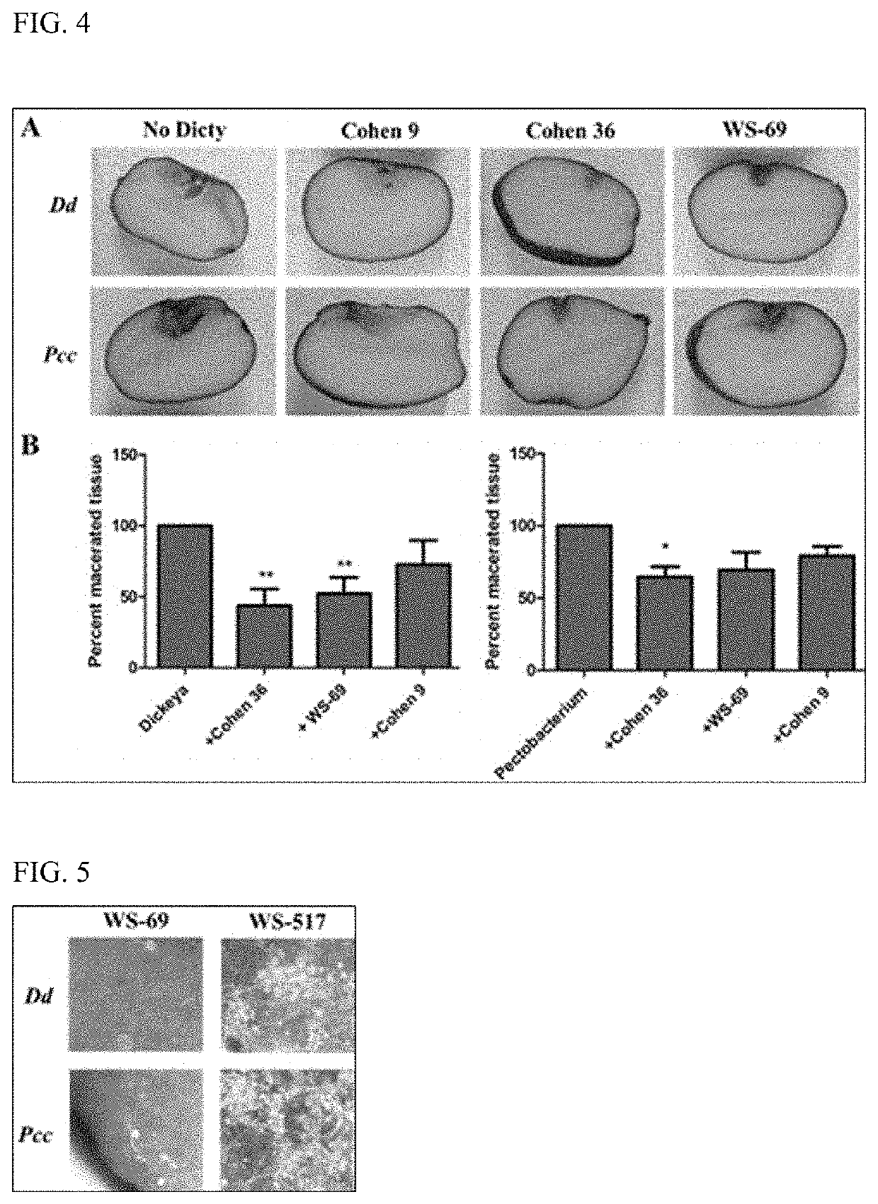 Therapeutic amoeba and uses thereof