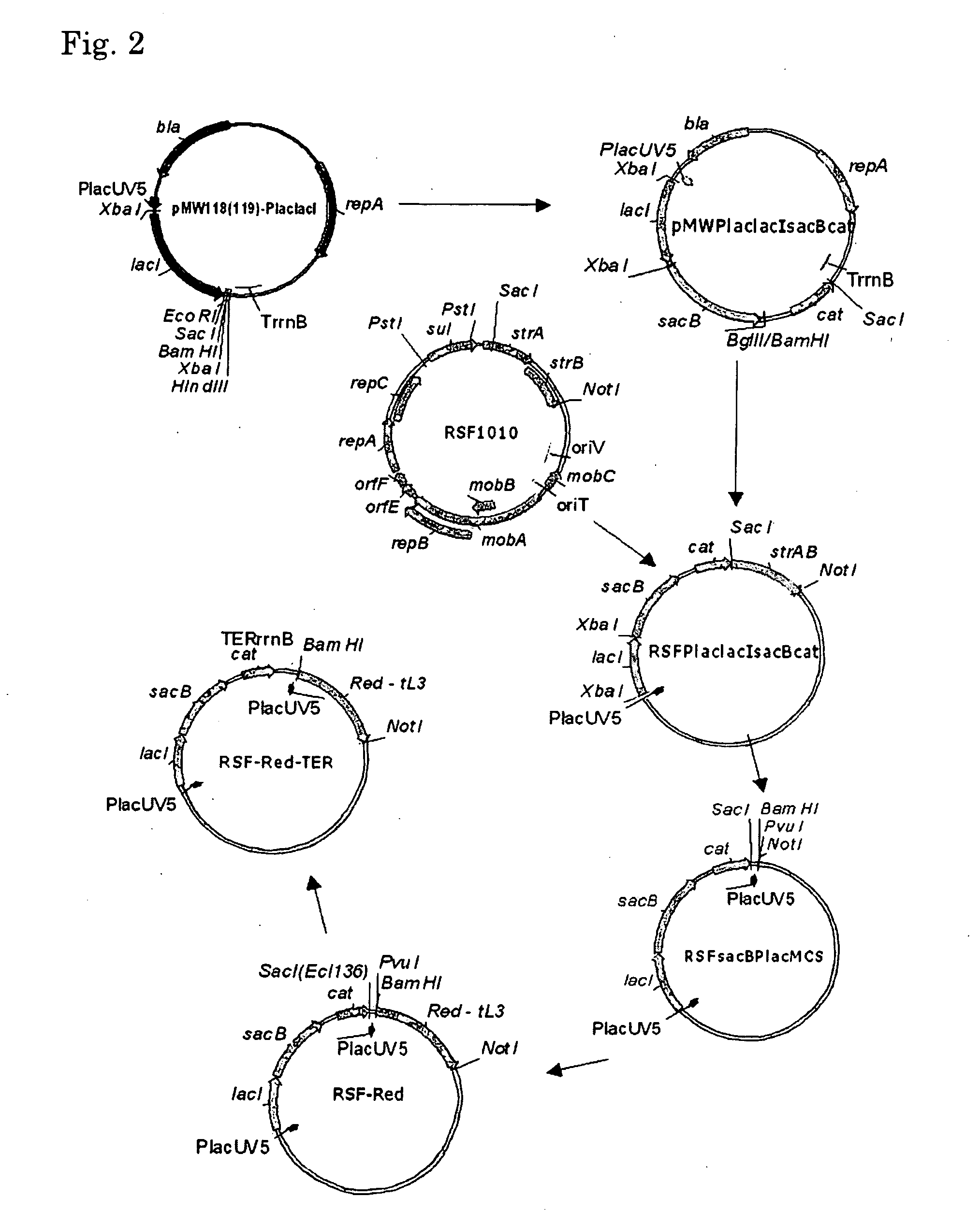 Method for producing an l-amino acid