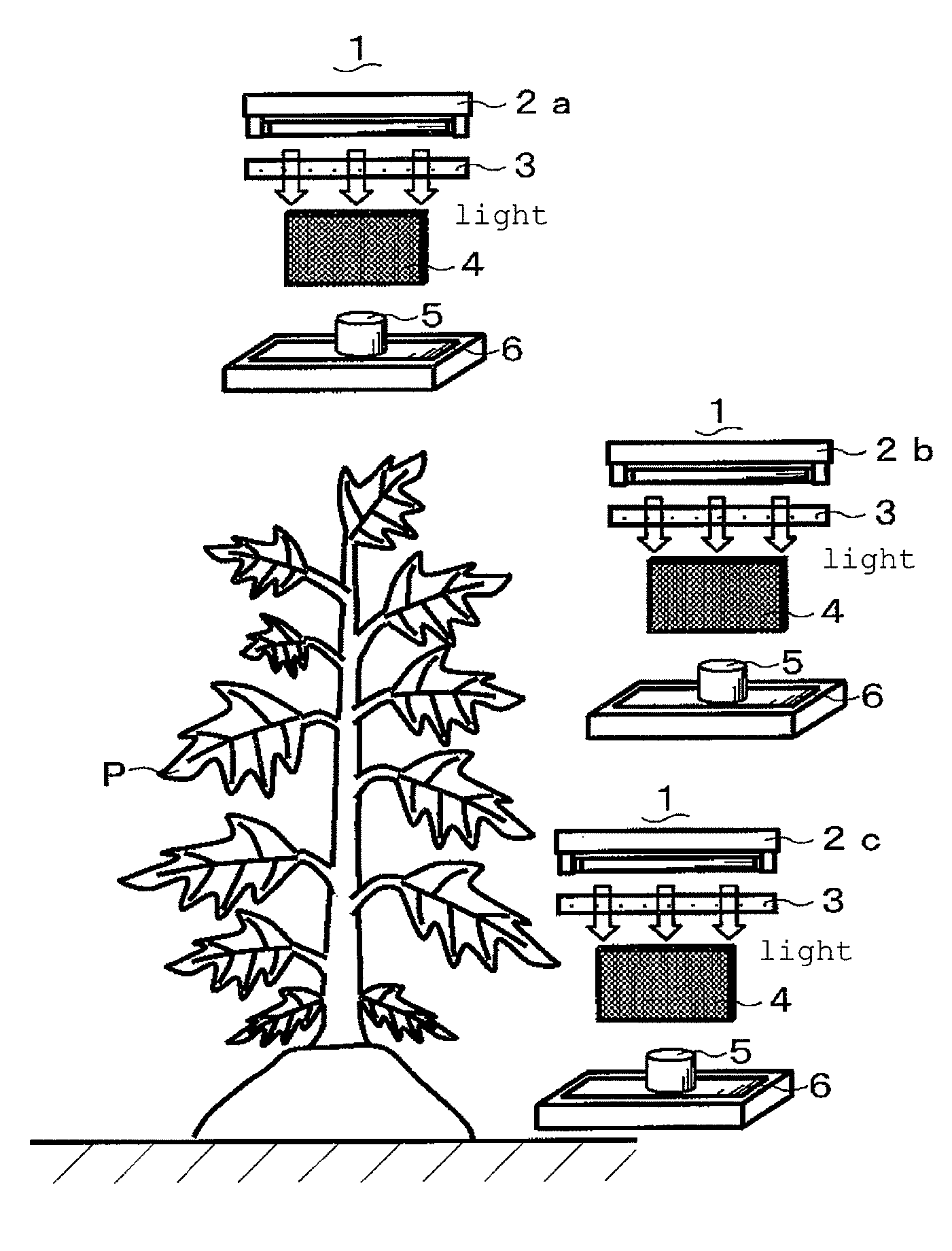 Insect pest-controlling apparatus