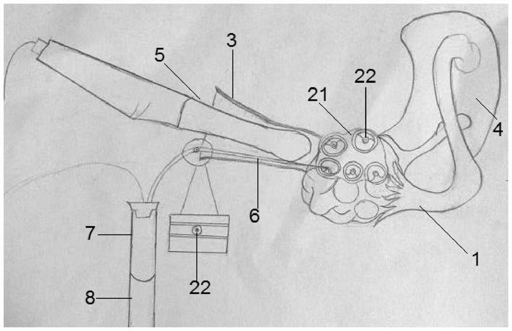 A kind of simulated egg retrieval model and its use method and application