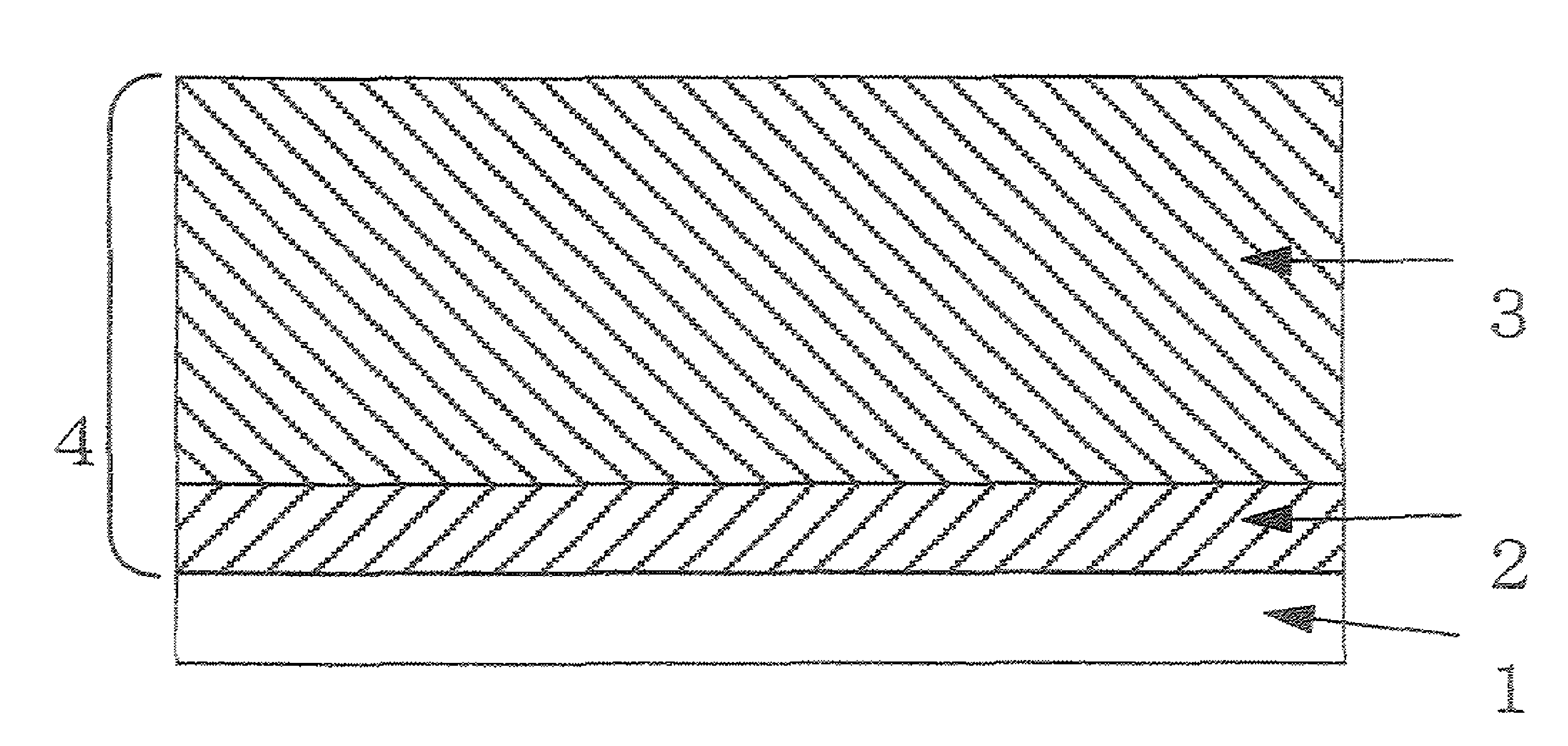 Electrophotographic photosensitive body