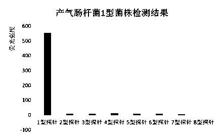 Suspension array for detecting serotype enterobacter aerogenes typing and application