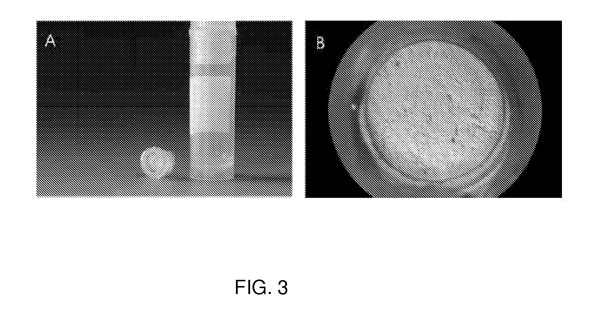 Method for the cryopreservation of cells, artificial cell constructs or three-dimensional complex tissues assemblies