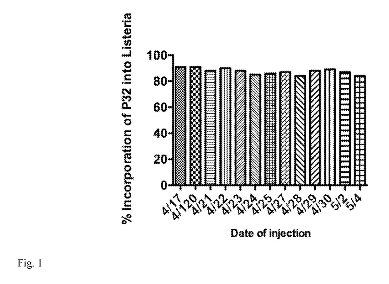 Method for producing radiobacteria for therapy of cancer