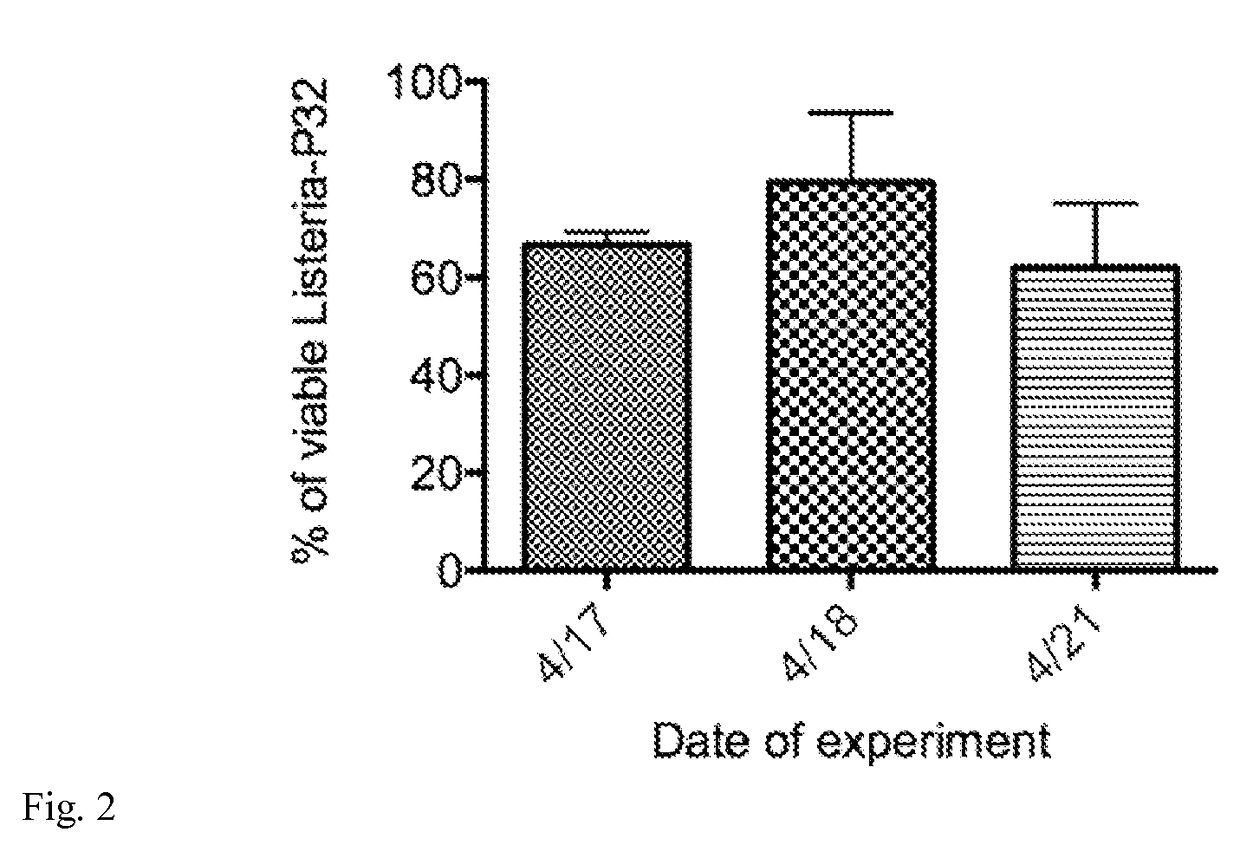 Method for producing radiobacteria for therapy of cancer