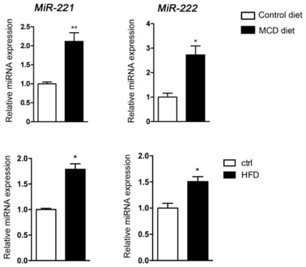 Application of miR-221 and inhibitor thereof to preparation of medicine for regulating and controlling liver fat deposition, liver fibrosis or hepatocellular carcinoma