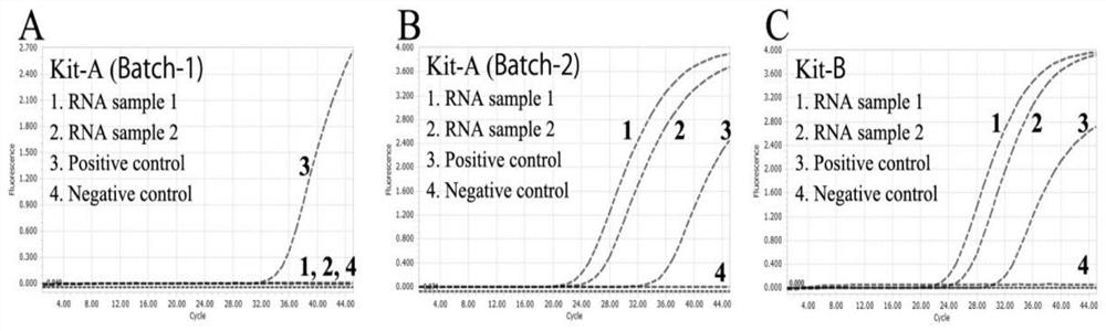 Chemically modified high-stability RNA, kit and method