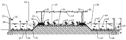 Method for large-scale mimic ecological reproduction and healthy efficient domestication of platysternon megacephalum