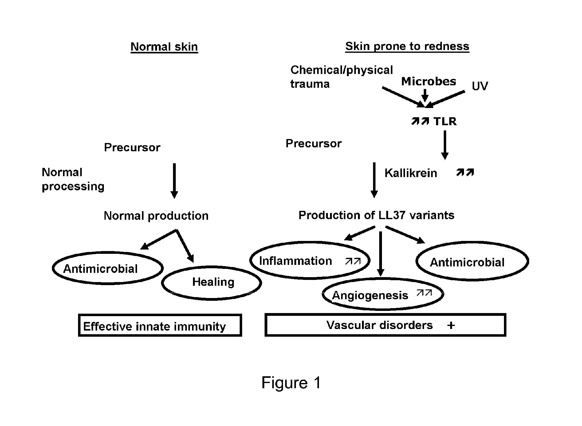 Anti-redness active agent and cosmetic compositions comprising same