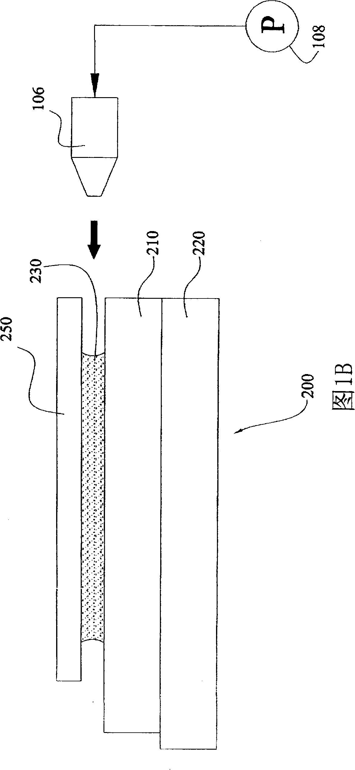 Removing device and removing method for polarizer