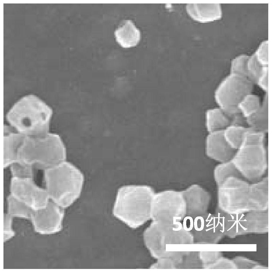 A kind of granular adjuvant and its preparation method and application