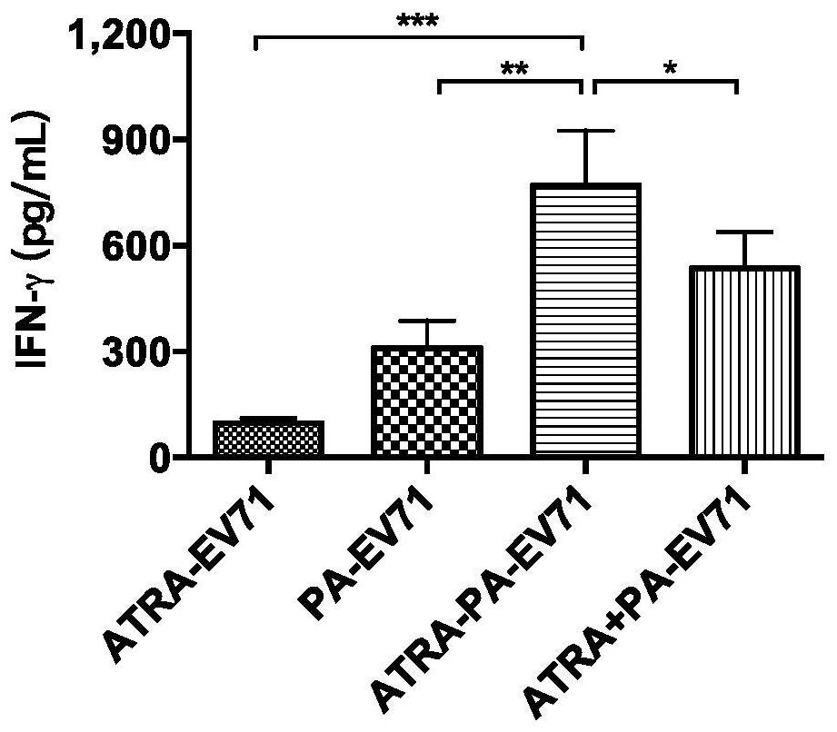 A kind of granular adjuvant and its preparation method and application