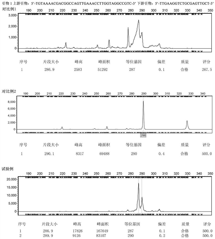 DNA bar code for screening total soluble protein content index of champignon luteo-virens