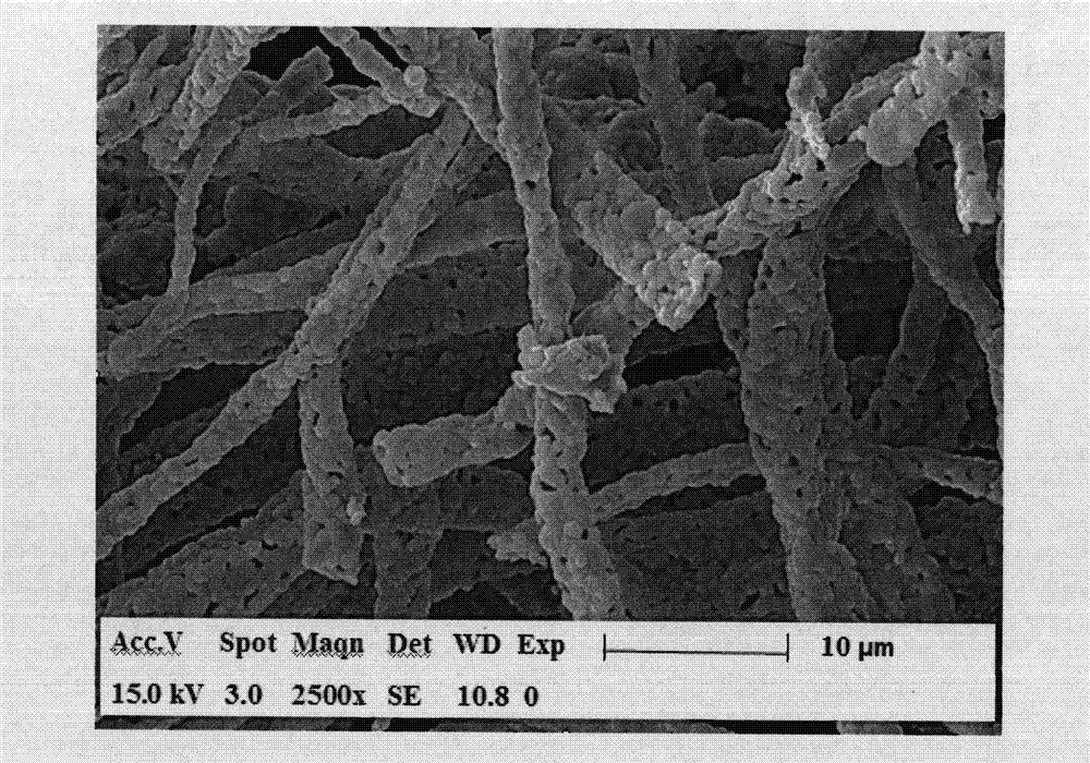 Method for preparing cadmium selenide nano-belt