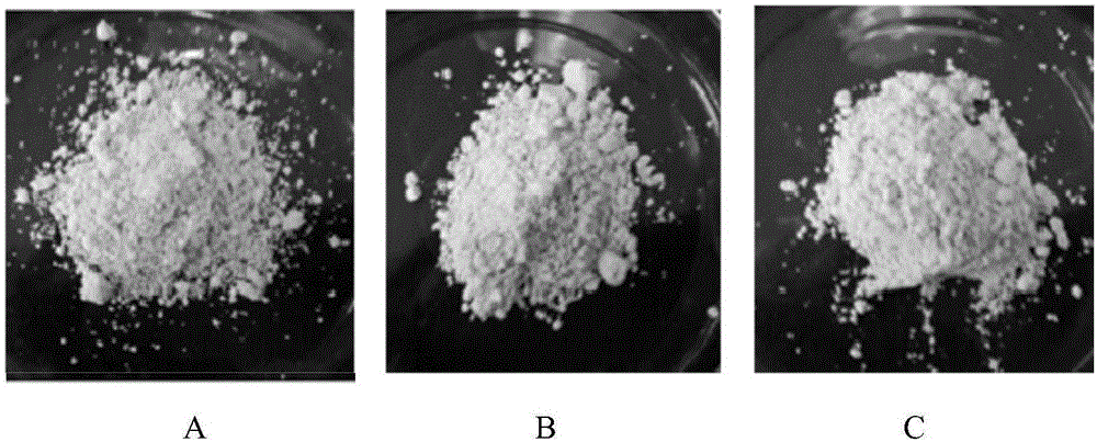 Natural high-emulsibility grease powder and preparation method thereof