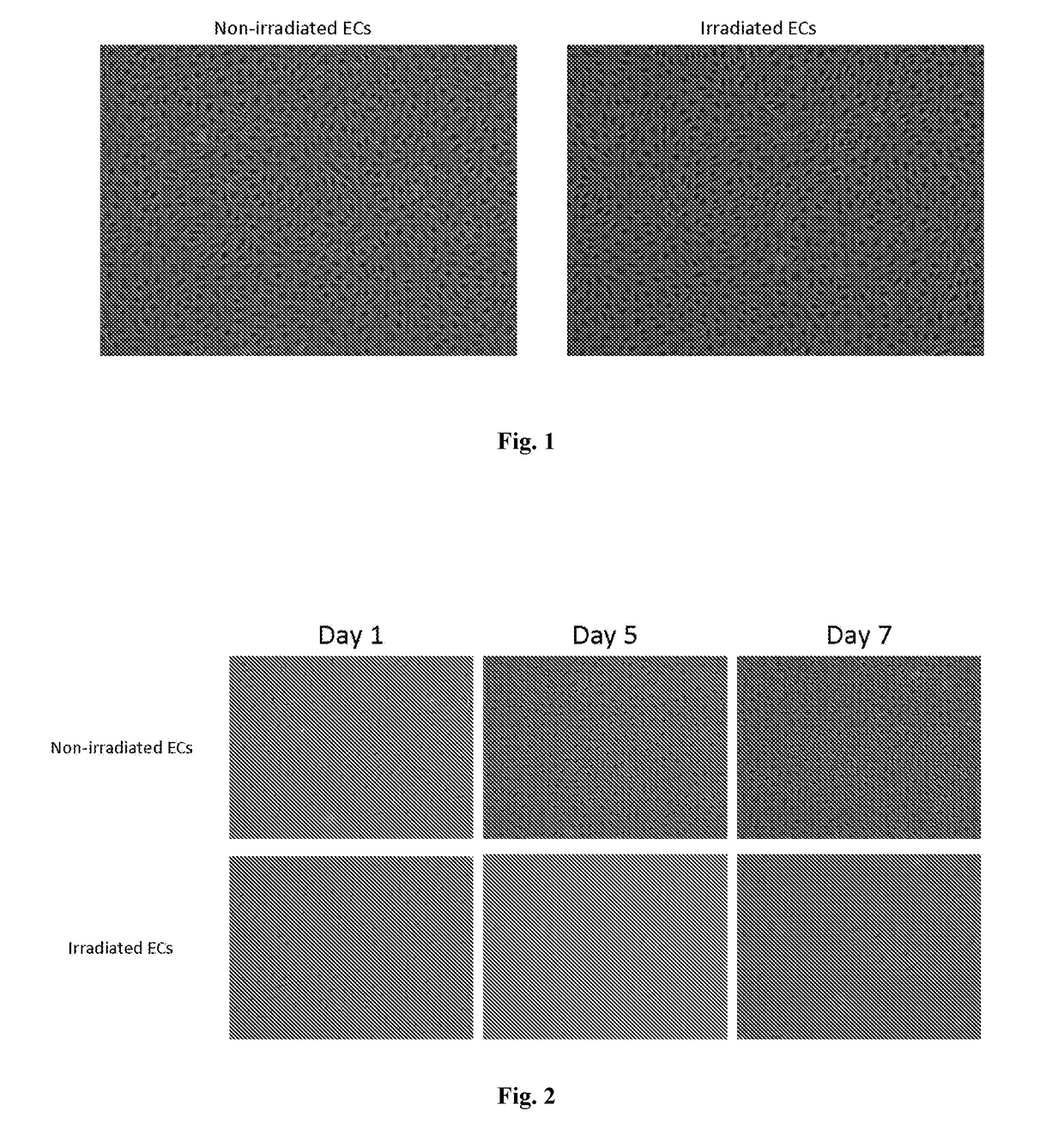 Methods and compositions for stem cell transplantation