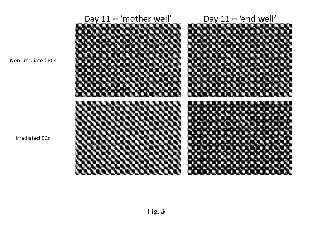 Methods and compositions for stem cell transplantation