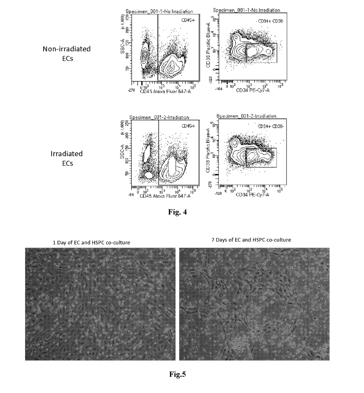 Methods and compositions for stem cell transplantation