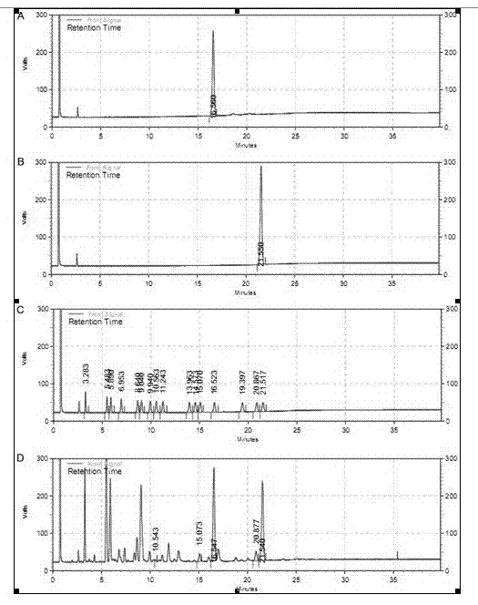 Chromatographic method for determining folic acid content in health food