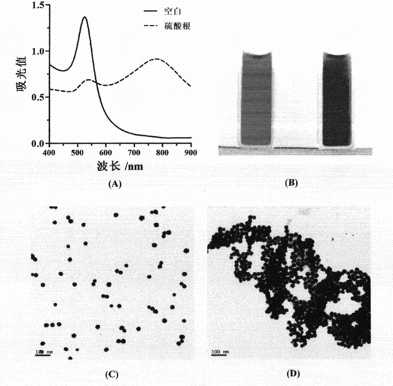 Application and method of detecting sulfate ion based on cysteamine-modified nano-gold solution