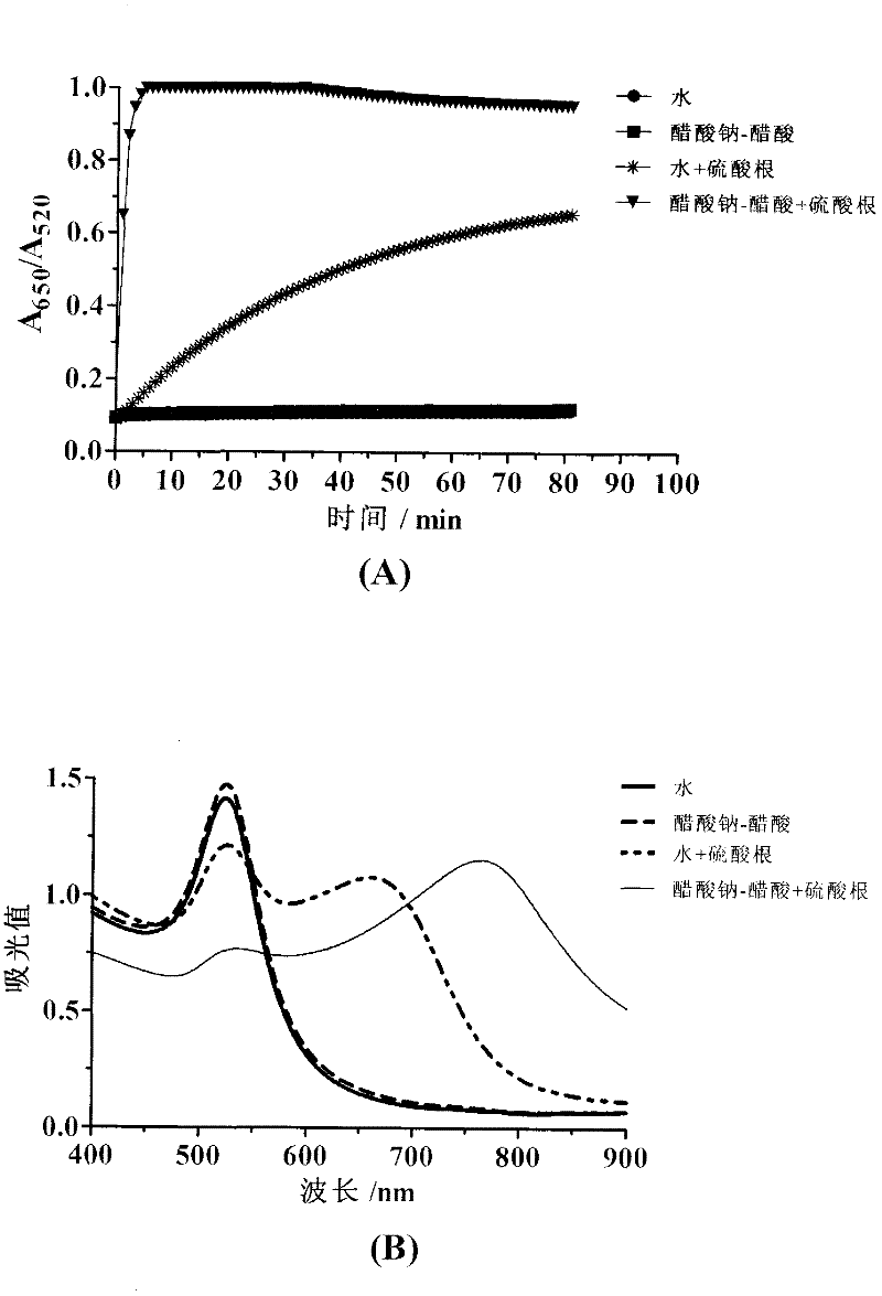 Application and method of detecting sulfate ion based on cysteamine-modified nano-gold solution