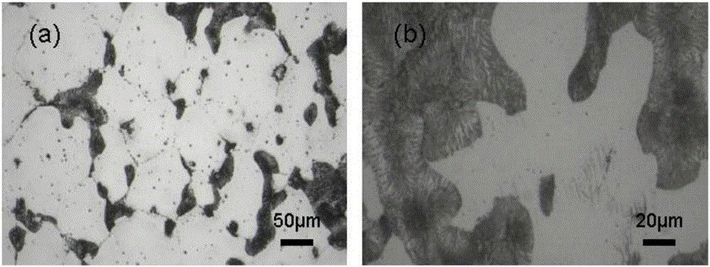Sea cell Mg-Li-Zn alloy electrode modified by yttrium-rich mischmetal element and preparing method