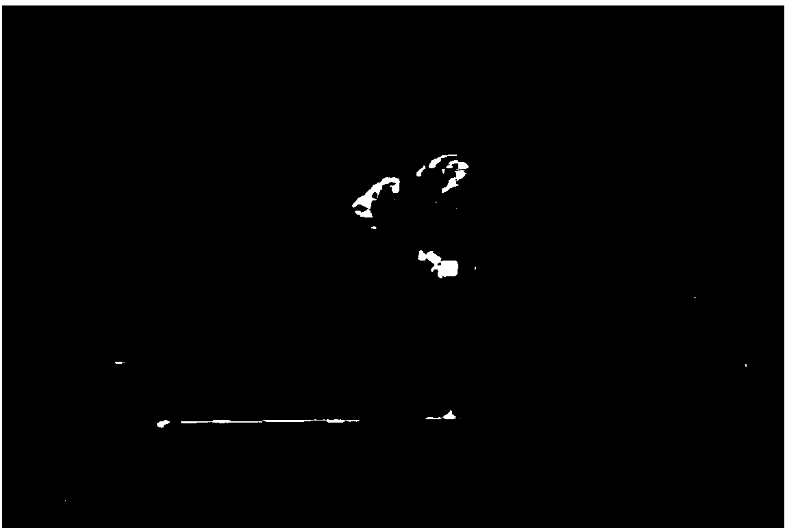 Color image compression method based on reaction-diffusion equation set