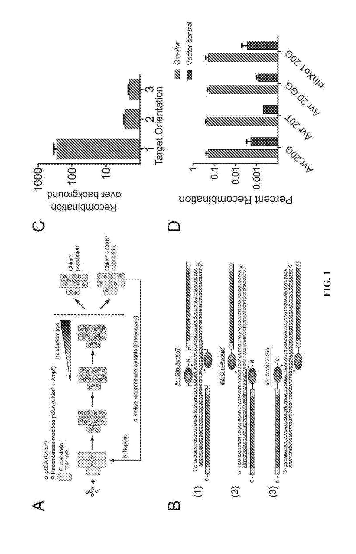 Chimeric polypeptides having targeted binding specificity