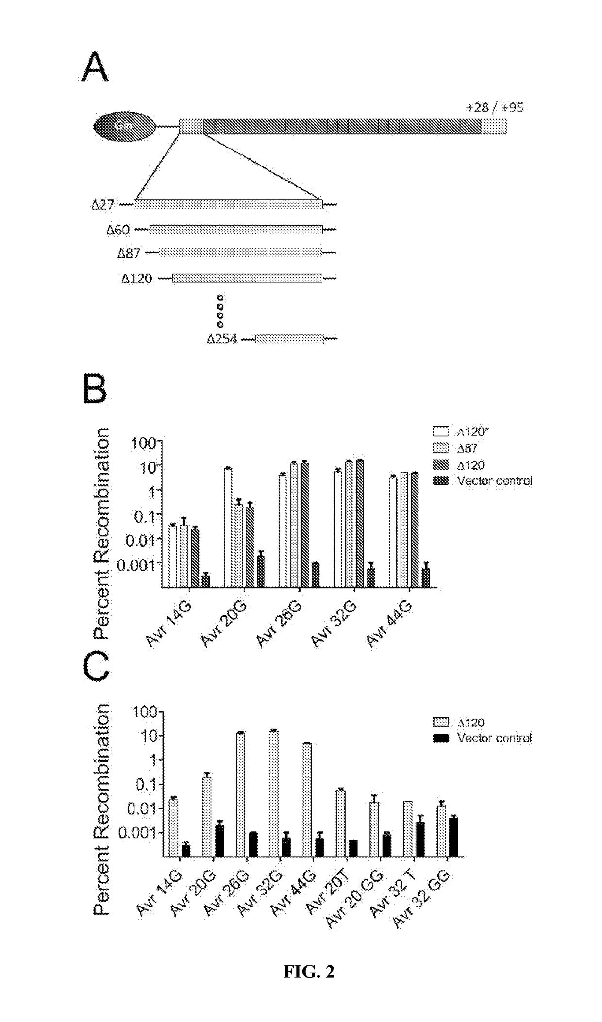 Chimeric polypeptides having targeted binding specificity