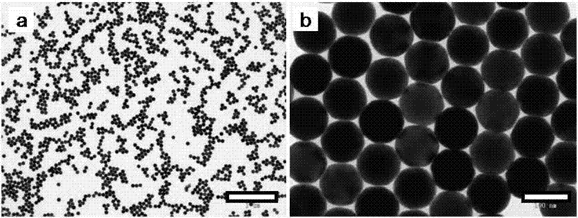 Single crystal gold nanosphere and preparation method thereof