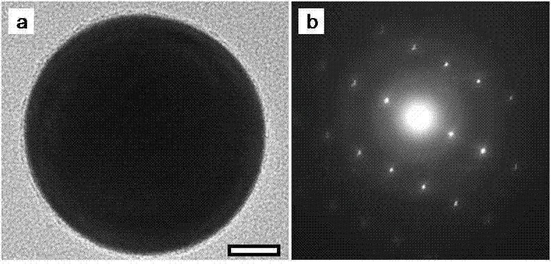 Single crystal gold nanosphere and preparation method thereof