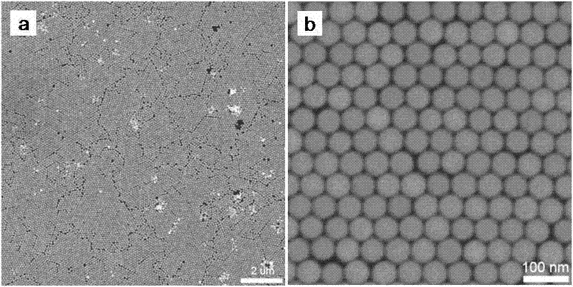 Single crystal gold nanosphere and preparation method thereof