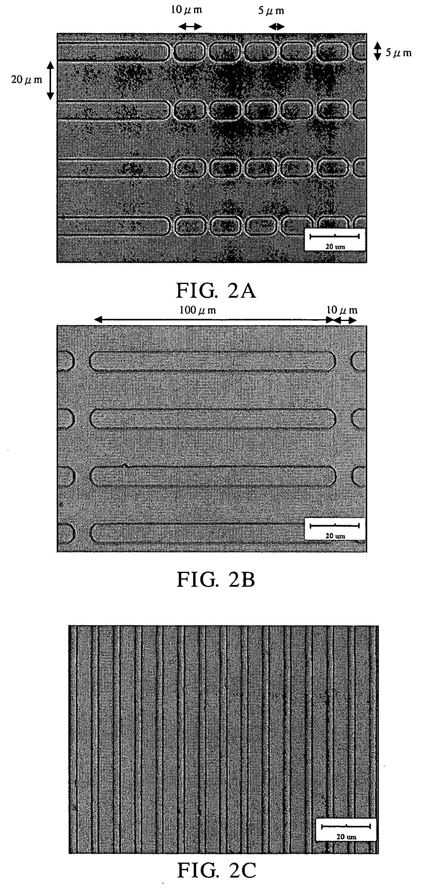 Device for axon and neurite growth and method for producing the same