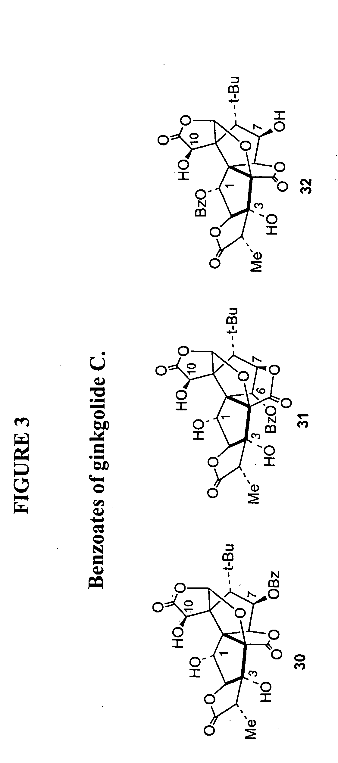 Synthesis of derivatives of ginkgolide C
