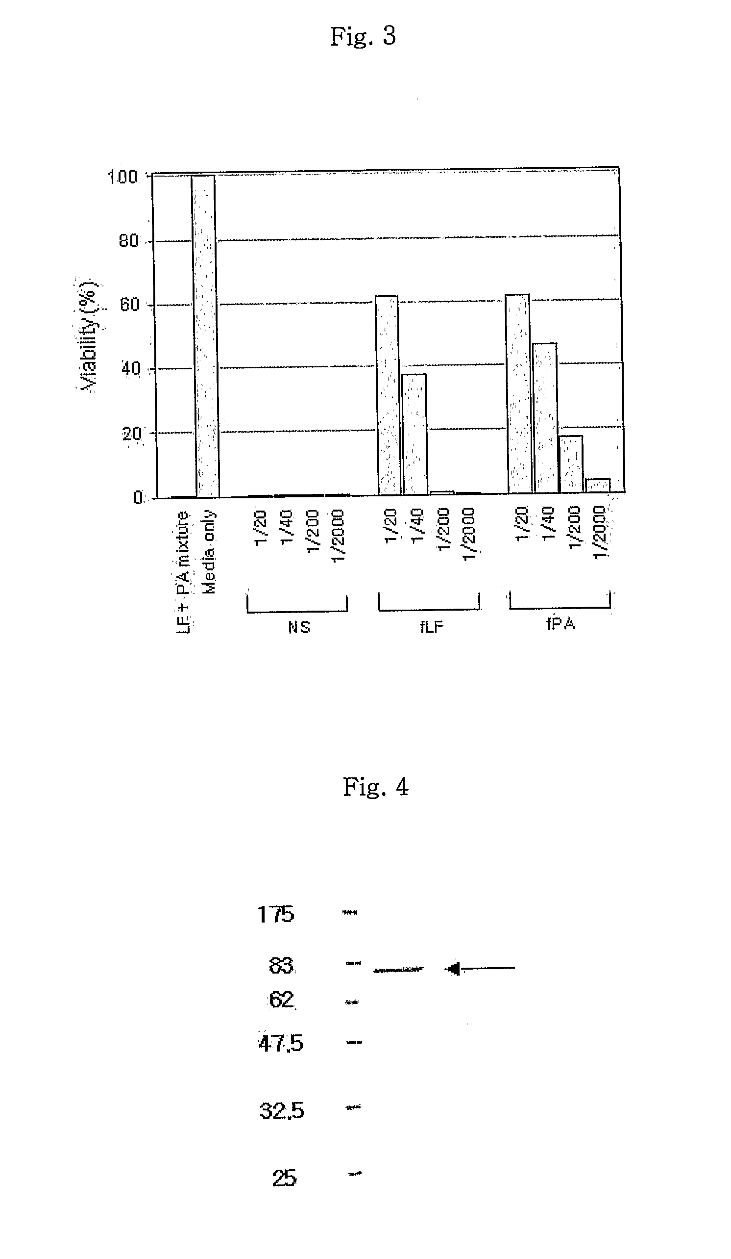 Monoclonal antibody specific to anthrax toxin