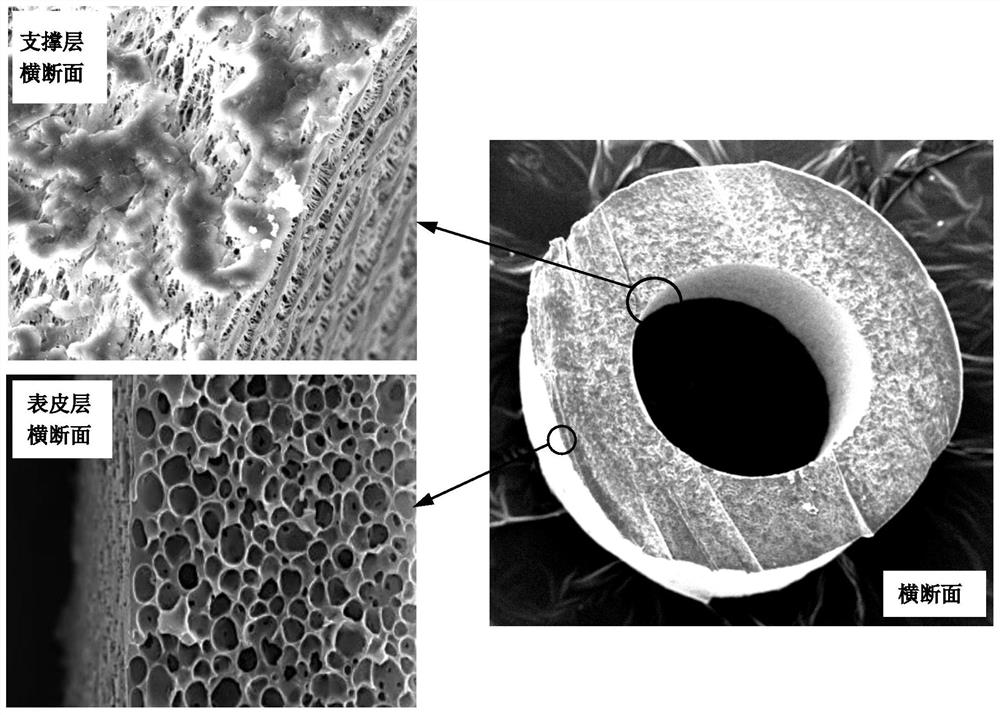 Polytetrafluoroethylene hollow fiber composite membrane and preparation method thereof