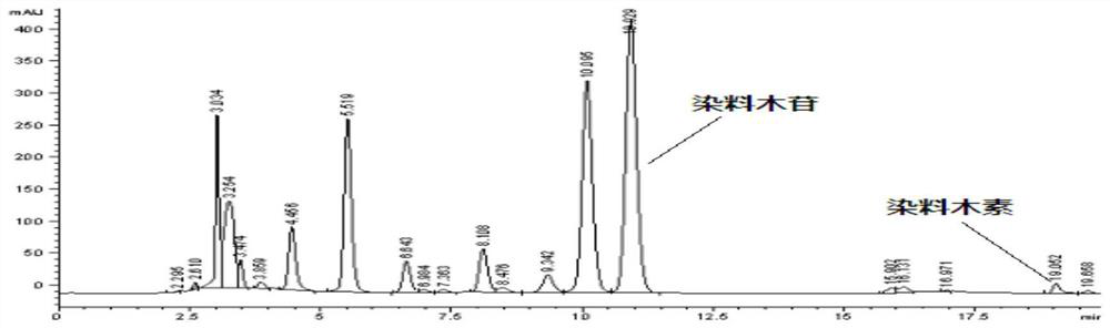 A kind of Paenibacillus polymyxa, its application in the preparation of genistein and the method for preparing genistein