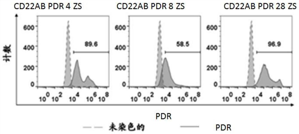 Preparation method of cell for expressing anti-CD22 chimeric antigen receptor and PD-L1 blocking protein, expression vector and application