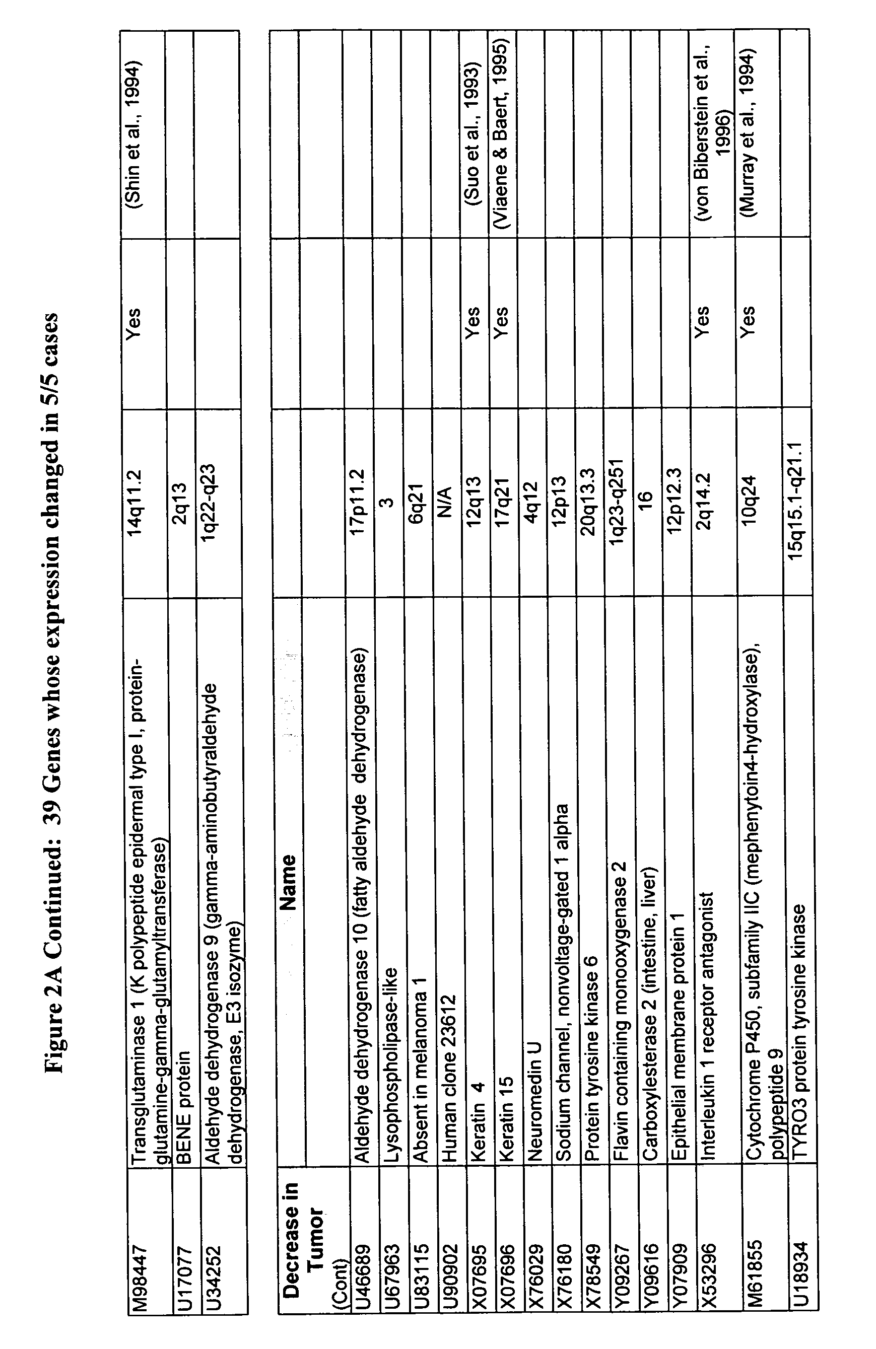 Methods for detecting and diagnosing oral cancer