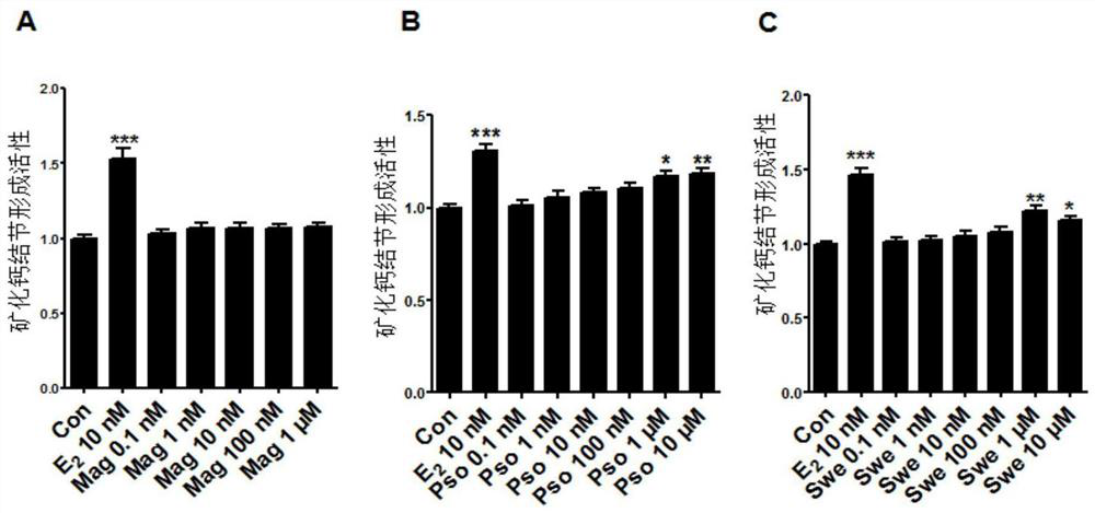 Application of magnoflorine in preparation of bone regulation drug synergist and pharmaceutical composition containing magnoflorine